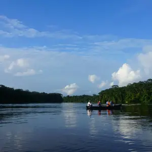 Explore Tortuguero: A natural paradise in Costa Rica for 3 days with Green World Adventures and discover unforgettable experiences - Photo 7