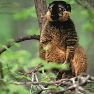 Explore Pangalanes  Channel extraordinary journey for 14 days with Green Island Discovery and discover unforgettable experiences - Photo 3