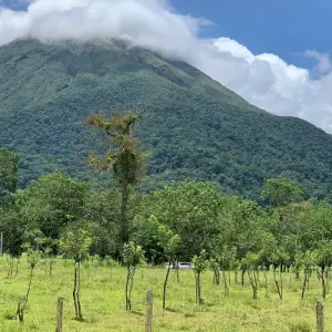 Explore Volcanoes Adventure in Costa Rica for 9 days with Green World Adventures and discover unforgettable experiences - Photo 6