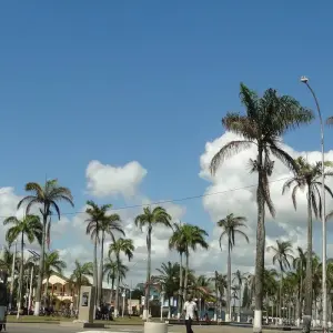 Explore Madagascar Eastern treasure for 11 days with Green Island Discovery and discover unforgettable experiences - Photo 2