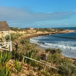 Explore Malagasy coral reef heart trip for 18 days with Green Island Discovery and discover unforgettable experiences - Photo 3