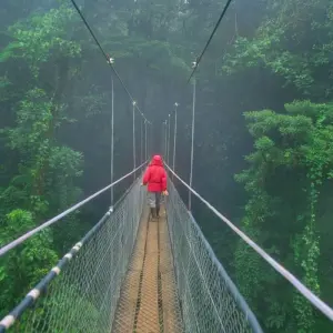 Explore Our Costa Rican Highlights for 10 days with Green World Adventures and discover unforgettable experiences - Photo 6