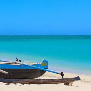 Explore Malagasy coral reef heart trip for 18 days with Green Island Discovery and discover unforgettable experiences - Photo 4