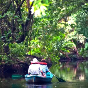 Explore The Best of Costa Rica (From Caribbean Coast to Pacific Side) for 13 days with Green World Adventures and discover unforgettable experiences - Photo 10