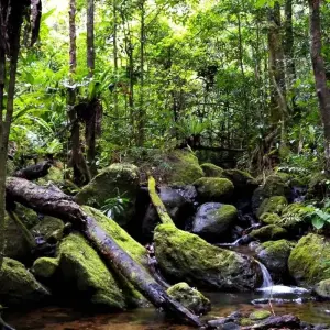 Explore The South destination kaleidoscope discovery for 14 days with Green Island Discovery and discover unforgettable experiences - Photo 2