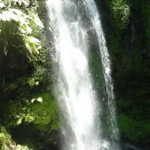 Explore The Vanilla of Madagascar for 15 days with Green Island Discovery and discover unforgettable experiences - Photo 2