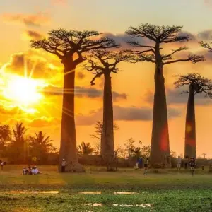 Explore Malagasy coral reef heart trip for 18 days with Green Island Discovery and discover unforgettable experiences - Photo 5