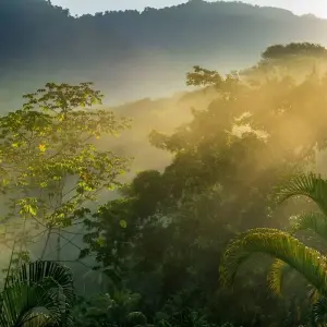 Explore Raft, Hike and Explore Costa Rica for 7 days with Green World Adventures and discover unforgettable experiences - Photo 11