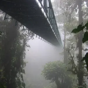 Explore Arenal Volcano & Monteverde Cloud Forest Costa Rica, the perfect combination for 5 days with Green World Adventures and discover unforgettable experiences - Photo 9