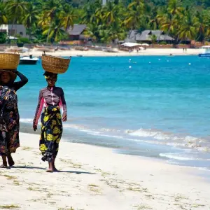 Explore Madagascar splendid East journey for 7 days with Green Island Discovery and discover unforgettable experiences - Photo 3