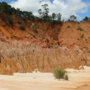 Explore The Vanilla of Madagascar for 15 days with Green Island Discovery and discover unforgettable experiences - Photo 3