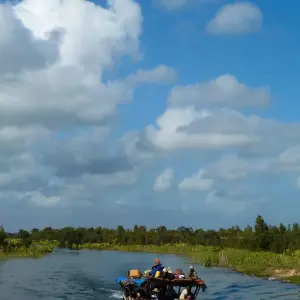 Explore Madagascar Eastern treasure for 11 days with Green Island Discovery and discover unforgettable experiences - Photo 5