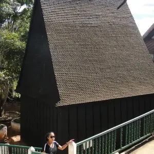 Explore A day of cultural and ecotourism discovery in Antananarivo for 1 days with Green Island Discovery and discover unforgettable experiences - Photo 2