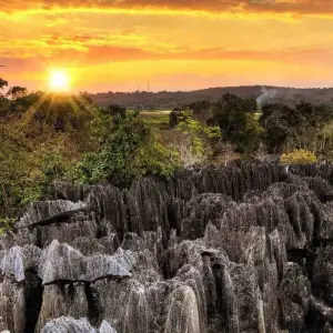 Explore Malagasy coral reef heart trip for 18 days with Green Island Discovery and discover unforgettable experiences - Photo 7