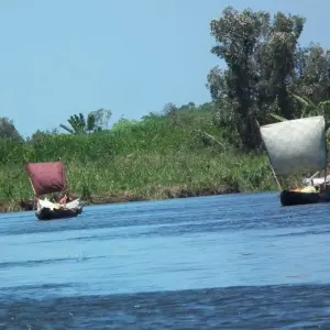 Explore Madagascar Eastern treasure for 11 days with Green Island Discovery and discover unforgettable experiences - Photo 6