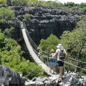 Explore The Vanilla of Madagascar for 15 days with Green Island Discovery and discover unforgettable experiences - Photo 5