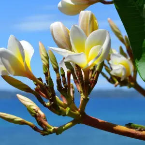 Explore Madagascar splendid East journey for 7 days with Green Island Discovery and discover unforgettable experiences - Photo 5