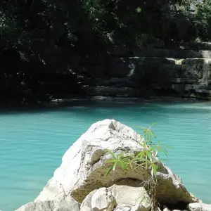 Explore Admire lemurs on the RN7 for 12 days with Green Island Discovery and discover unforgettable experiences - Photo 5