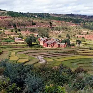 Explore Malagasy coral reef heart trip for 18 days with Green Island Discovery and discover unforgettable experiences - Photo 9