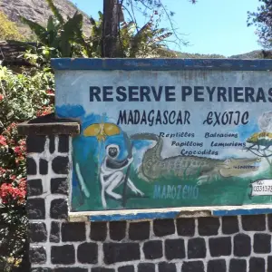 Explore Madagascar Eastern treasure for 11 days with Green Island Discovery and discover unforgettable experiences - Photo 8