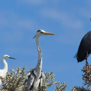 Explore Staying in Anakao for 4 days with Green Island Discovery and discover unforgettable experiences - Photo 3