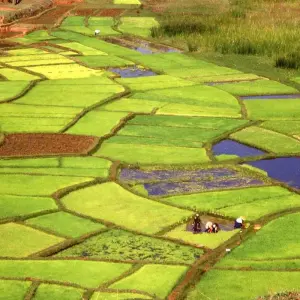 Explore The South destination kaleidoscope discovery for 14 days with Green Island Discovery and discover unforgettable experiences - Photo 7