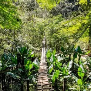 Explore Madagascar splendid East journey for 7 days with Green Island Discovery and discover unforgettable experiences - Photo 7