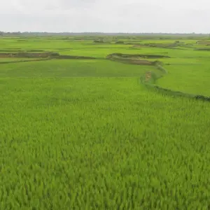 Explore A day of cultural and ecotourism discovery in Antananarivo for 1 days with Green Island Discovery and discover unforgettable experiences - Photo 5