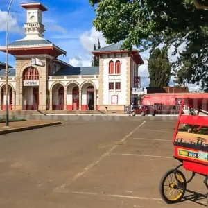 Explore Pangalanes  Channel extraordinary journey for 14 days with Green Island Discovery and discover unforgettable experiences - Photo 10