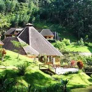 Explore Madagascar Eastern treasure for 11 days with Green Island Discovery and discover unforgettable experiences - Photo 9