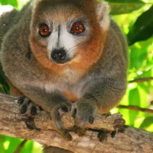 Explore Getaway Far North to the Archipelago Heart for 21 days with Green Island Discovery and discover unforgettable experiences - Photo 7