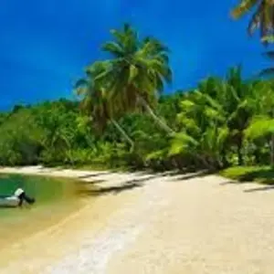 Explore Madagascar Eastern treasure for 11 days with Green Island Discovery and discover unforgettable experiences - Photo 11