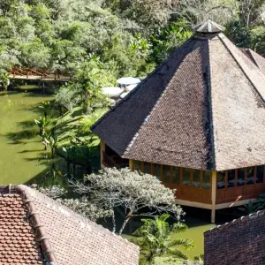 Explore Madagascar splendid East journey for 7 days with Green Island Discovery and discover unforgettable experiences - Photo 10