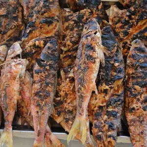 Explore Madagascar North West paradise for 12 days with Green Island Discovery and discover unforgettable experiences - Photo 2