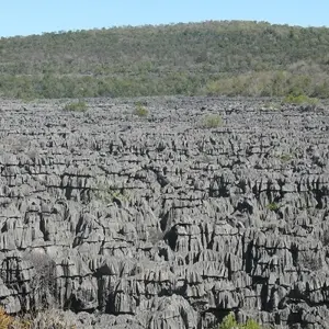 Explore The Vanilla of Madagascar for 15 days with Green Island Discovery and discover unforgettable experiences - Photo 11