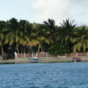 Explore The Eastern Madagascar wonder for 9 days with Green Island Discovery and discover unforgettable experiences - Photo 9