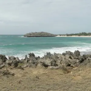 Explore Madagascar North West paradise for 12 days with Green Island Discovery and discover unforgettable experiences - Photo 4