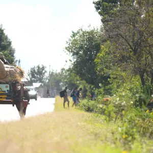 Explore Discover the South of Madagascar and relaxation for 8 days with Green Island Discovery and discover unforgettable experiences - Photo 6