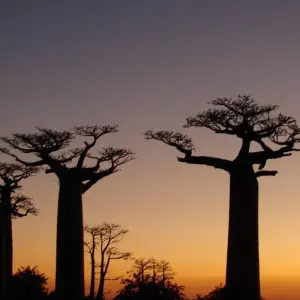 Explore Ideal trip between land and sea for 14 days with Green Island Discovery and discover unforgettable experiences - Photo 4