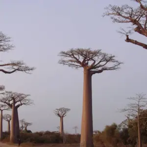 Explore Ideal trip between land and sea for 14 days with Green Island Discovery and discover unforgettable experiences - Photo 5