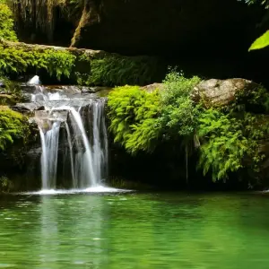 Explore Discover the South of Madagascar and relaxation for 8 days with Green Island Discovery and discover unforgettable experiences - Photo 11