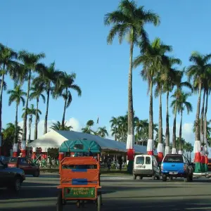 Explore Ideal trip between land and sea for 14 days with Green Island Discovery and discover unforgettable experiences - Photo 6