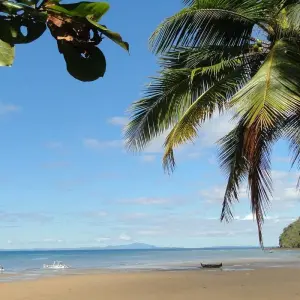 Explore Madagascar North West paradise for 12 days with Green Island Discovery and discover unforgettable experiences - Photo 11