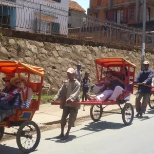 Explore Ideal trip between land and sea for 14 days with Green Island Discovery and discover unforgettable experiences - Photo 8