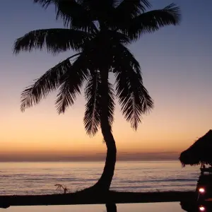 Explore Ideal trip between land and sea for 14 days with Green Island Discovery and discover unforgettable experiences - Photo 9