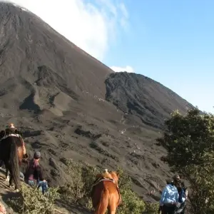 Explore Mayan Expedition for 11 days with Guatemalan Adventure  and discover unforgettable experiences - Photo 3