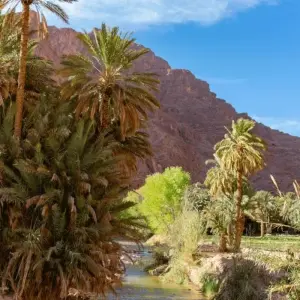 Explore Best of Morocco - 8 Days Private Tour from Marrakech for 8 days with Guided Morocco Tours and discover unforgettable experiences - Photo 4