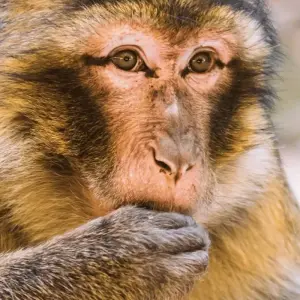 Explore Totally Morocco - 10 Days Private Tour from Marrakech for 10 days with Guided Morocco Tours and discover unforgettable experiences - Photo 4