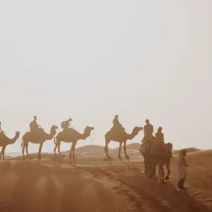 Explore 6 Days Tour from Marrakech via Sahara Desert & Fez for 6 days with Guided Morocco Tours and discover unforgettable experiences - Photo 9