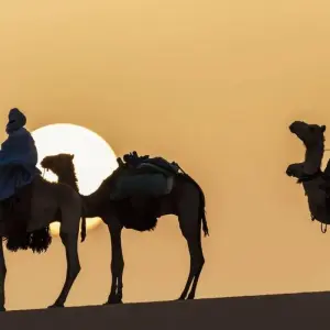 Explore 3 Days Sahara Desert Tour from Marrakech for 3 days with Guided Morocco Tours and discover unforgettable experiences - Photo 11